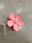 Bubble Gum Pink