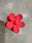 Poppy Red
