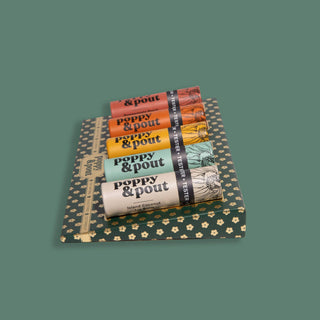 Poppy & Pout - Product Display, Fits 20-Tube Tray, Tester Display, Green